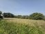 buildable land for sale on Uchaux (84100)