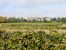 Sale Land Castillon-du-Gard 3753 m²