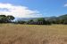 Sale Buildable land Mirabel-et-Blacons 3300 m²