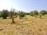 terreno en venta en Uzès (30700)