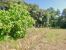 land for sale on Uzès (30700)