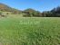 land for sale on Orgelet (39270)