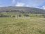 land for sale on Orgelet (39270)