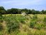 land for sale on Uzès (30700)